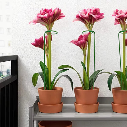 Tuteur Anneau Support Tige Plante Métal – 35 / 45 / 55 cm | Lot de 1, 3 ou 5