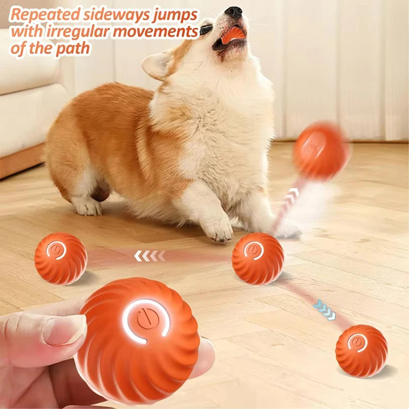 Balle Interactive Automatique pour Chien – Rechargeable USB | Jouet Chiot