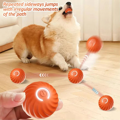 Balle Interactive Automatique pour Chien – Rechargeable USB | Jouet Chiot