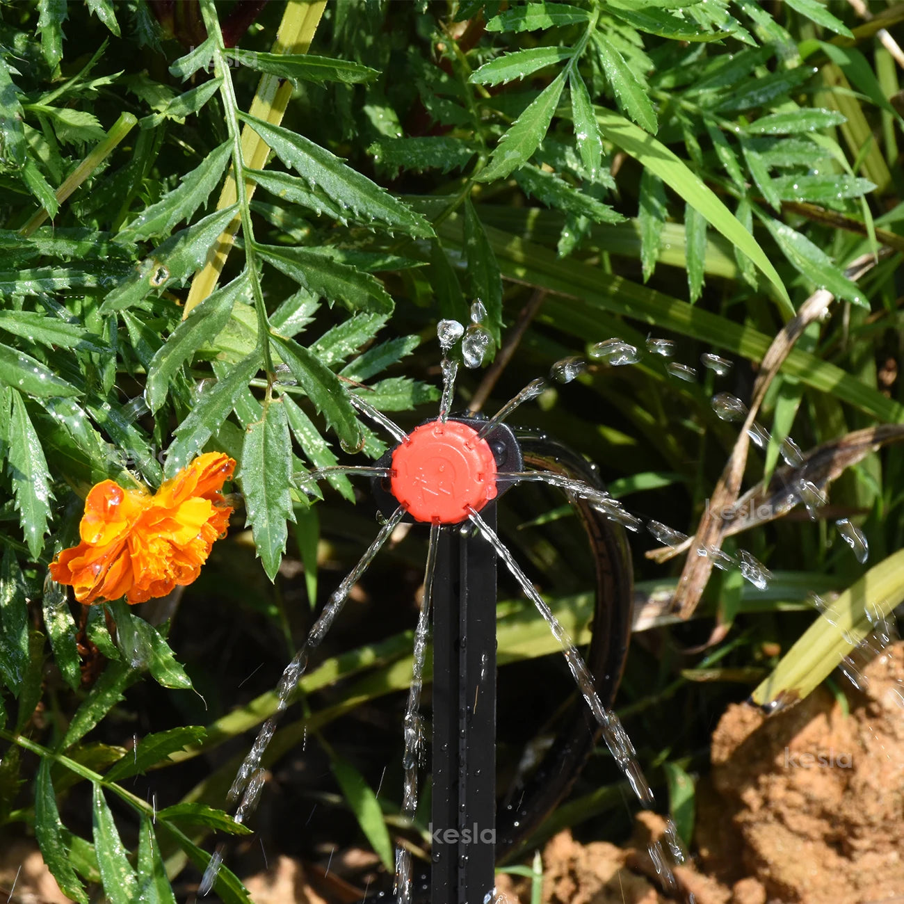 Kit Irrigation Goutte-à-Goutte KESLA – Tuyau 4/7mm, Programmateur & Capteur Pluie (5M à 50M)