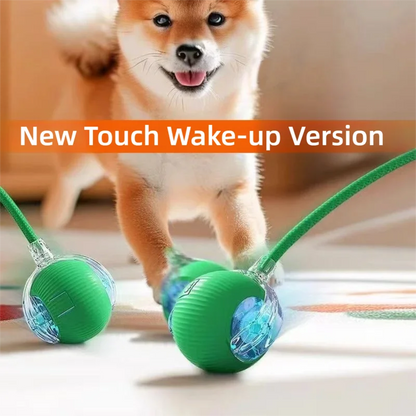 Balle Roulante Automatique pour Chien – 3 Modes, Recharge USB-C | Chiot & Chat