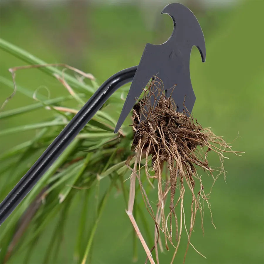 Binette Désherbeuse en Acier Carbone – Manche 30, 40 ou 50cm, Outil de Jardinage Manuel