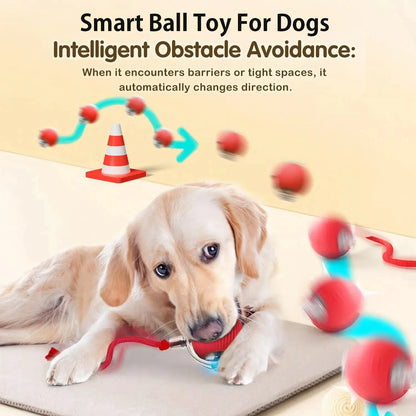 Balle Roulante Automatique pour Chien – 3 Modes, Recharge USB-C | Chiot & Chat