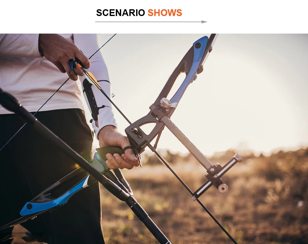 Arc Recurve Tir à l'Arc 20-50lbs Démontable avec Flèches Carbone Carquois Cible Entraînement