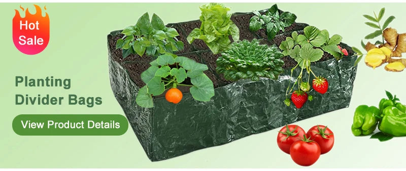 Binette Désherbeuse en Acier Carbone – Manche 30, 40 ou 50cm, Outil de Jardinage Manuel