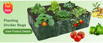 Binette Désherbeuse en Acier Carbone – Manche 30, 40 ou 50cm, Outil de Jardinage Manuel