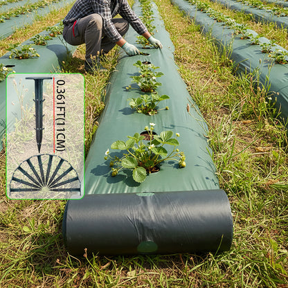 Toile Anti-Mauvaises Herbes Perforée 0,6M – Avec 10 Agrafes | Jardin, Potager, Verger