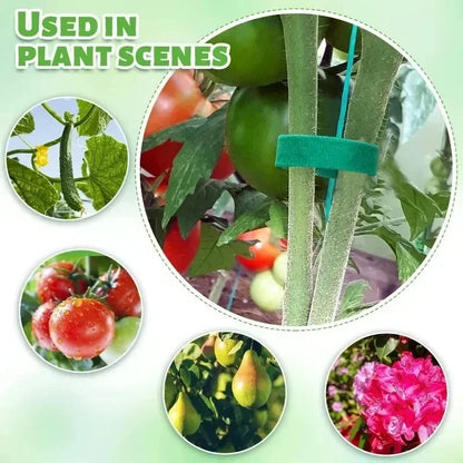 Attaches de jardin en nylon auto-agrippantes – Douces & Réutilisables | 2M à 40M, 7 couleurs