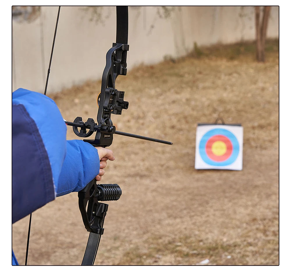 Arc Recurve Tir à l'Arc 20-50lbs Démontable avec Flèches Carbone Carquois Cible Entraînement