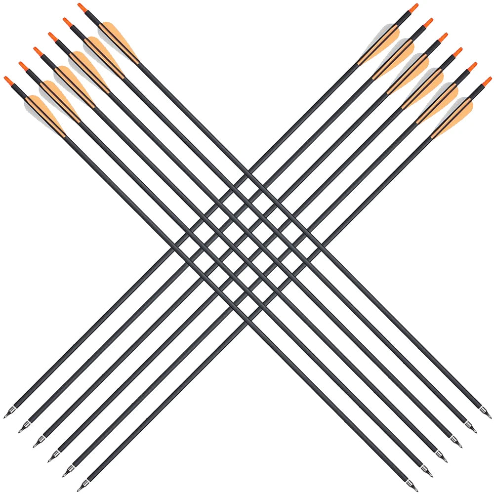 Arc Recurve Tir à l'Arc 20-50lbs Démontable avec Flèches Carbone Carquois Cible Entraînement