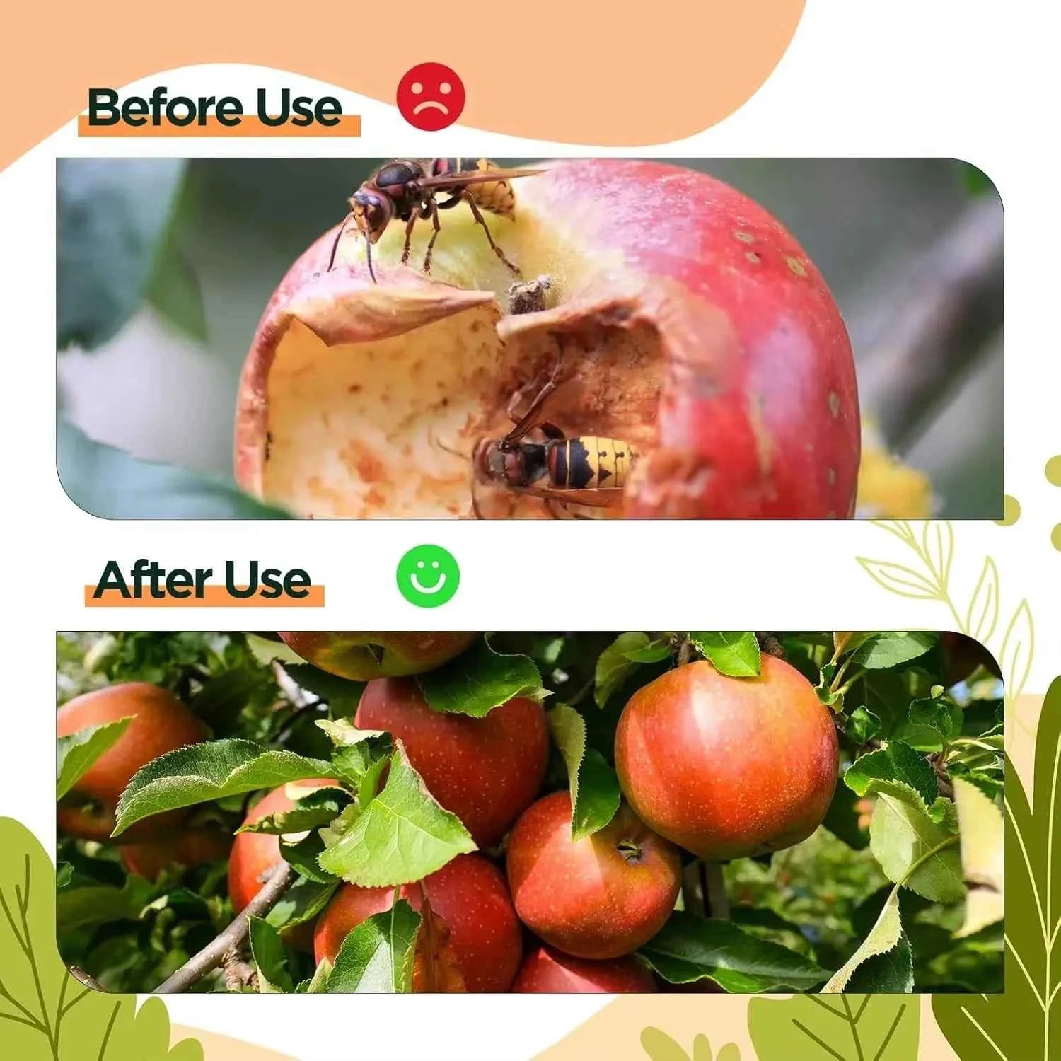 Piège Réutilisable - Anti Frelons asiatique et Mouches
