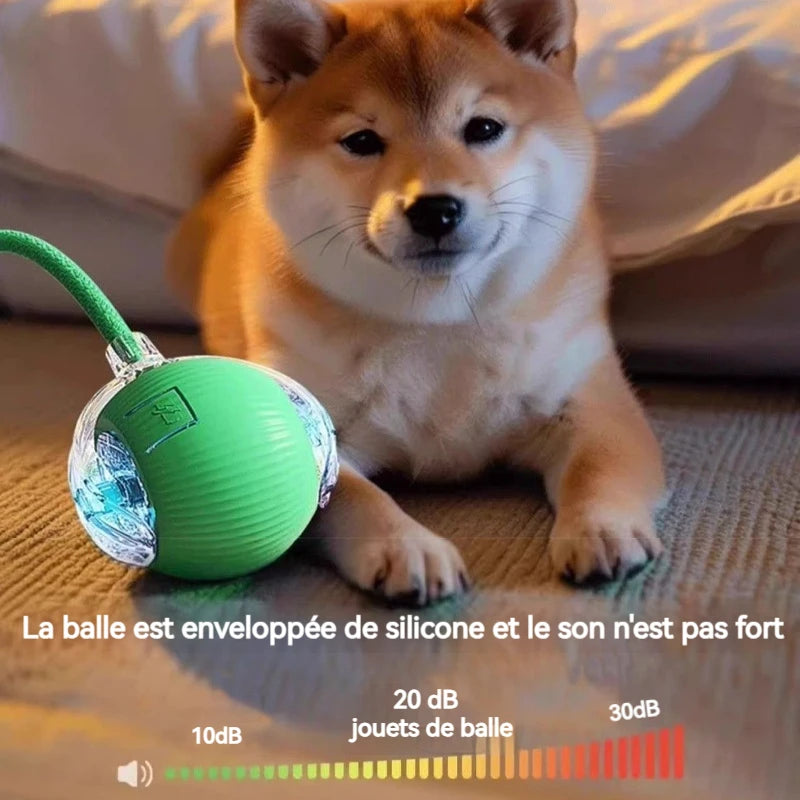 Balle Roulante Automatique pour Chien – 3 Modes, Recharge USB-C | Chiot & Chat