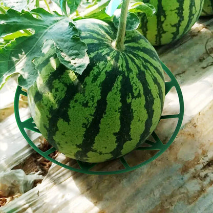 Support Fruits Jardin – Plateau Protège-Melon & Fraise (Lot de 10)
