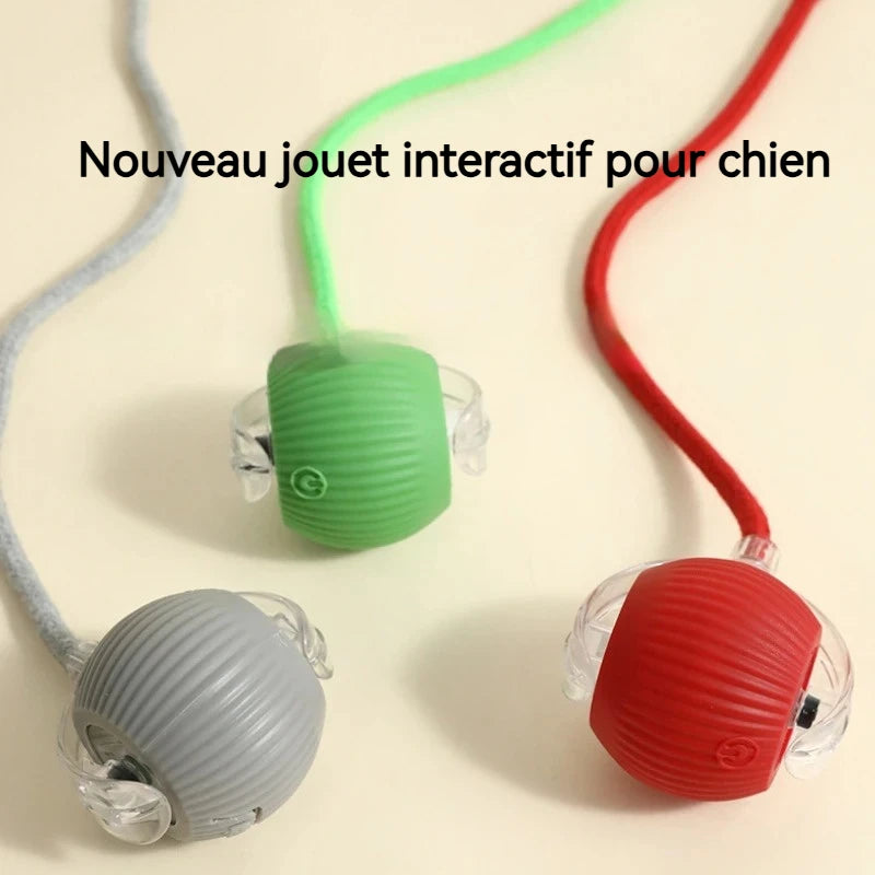 Balle Roulante Automatique pour Chien – 3 Modes, Recharge USB-C | Chiot & Chat