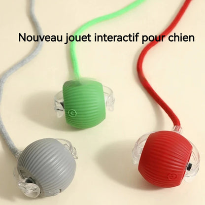 Balle Roulante Automatique pour Chien – 3 Modes, Recharge USB-C | Chiot & Chat