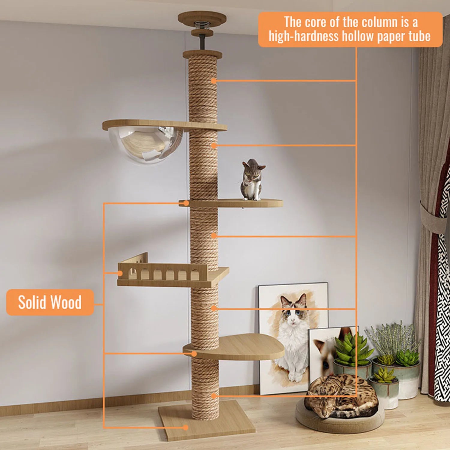 Arbre à Chat du Sol au Plafond - Hauteur Ajustable 5 Niveaux - Bois Massif avec Griffoirs et Hamac