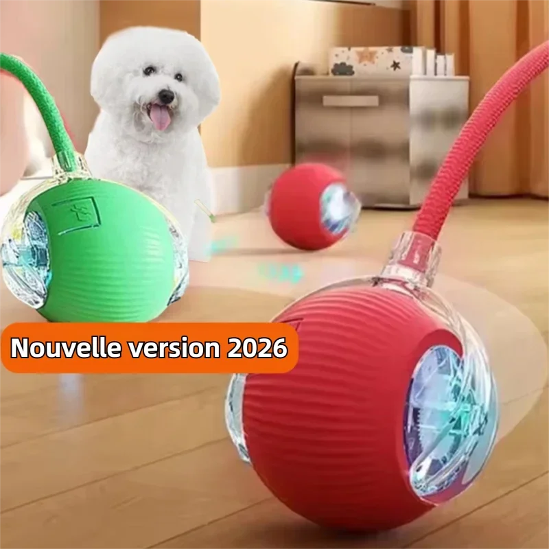 Balle Roulante Automatique pour Chien – 3 Modes, Recharge USB-C | Chiot & Chat