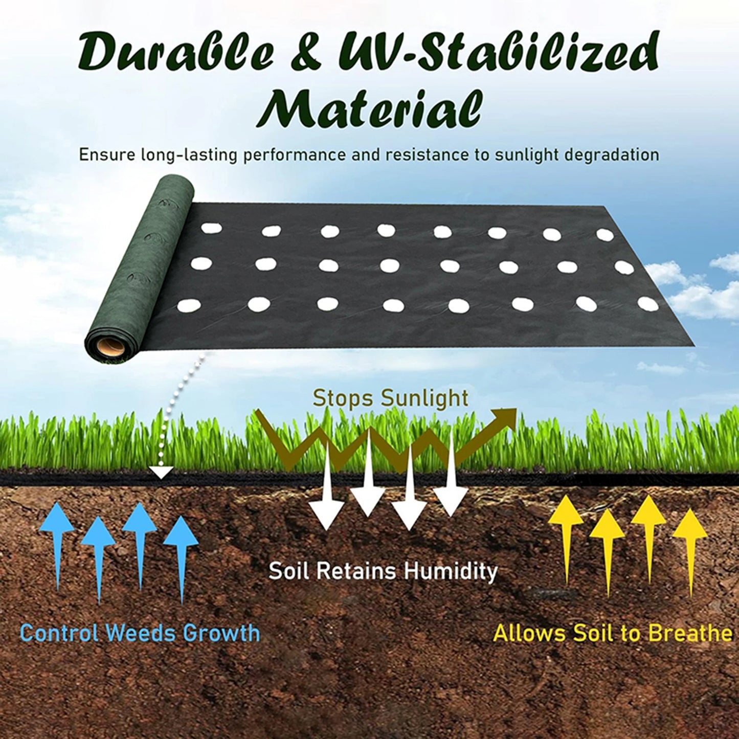 Toile Anti-Mauvaises Herbes Perforée 0,6M – Avec 10 Agrafes | Jardin, Potager, Verger