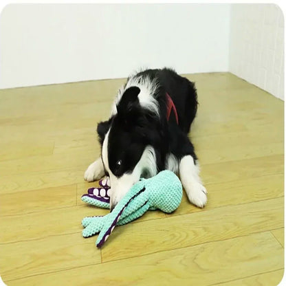 Peluche Pieuvre Sonore pour Chien – Anti-Destruction | Petit & Grand Chien