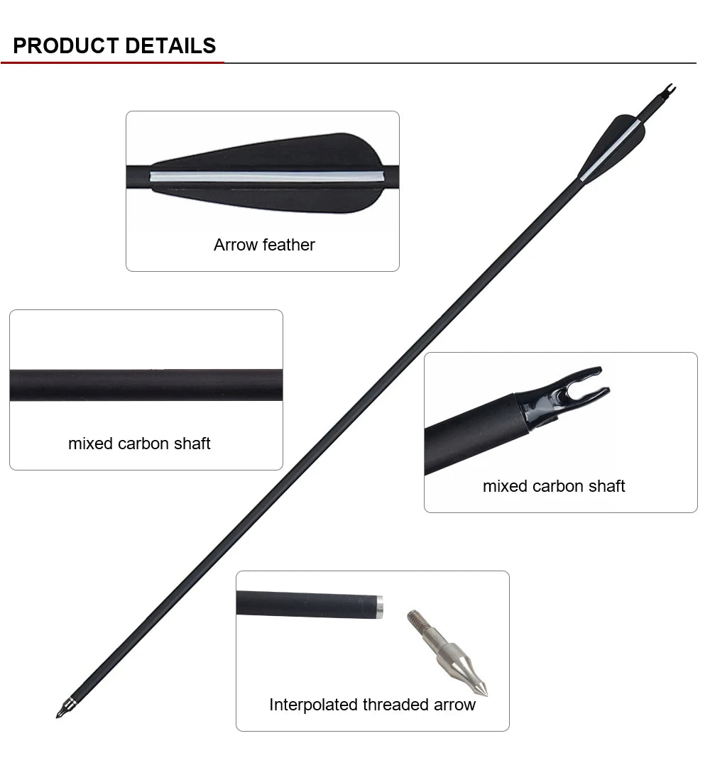 Arc Recurve Tir à l'Arc 20-50lbs Démontable avec Flèches Carbone Carquois Cible Entraînement