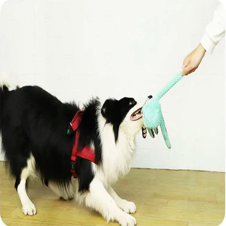 Peluche Pieuvre Sonore pour Chien – Anti-Destruction | Petit & Grand Chien