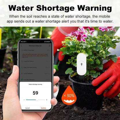 Capteur d'Humidité du Sol ZigBee Tuya – Température & Humidité | Jardin Connecté